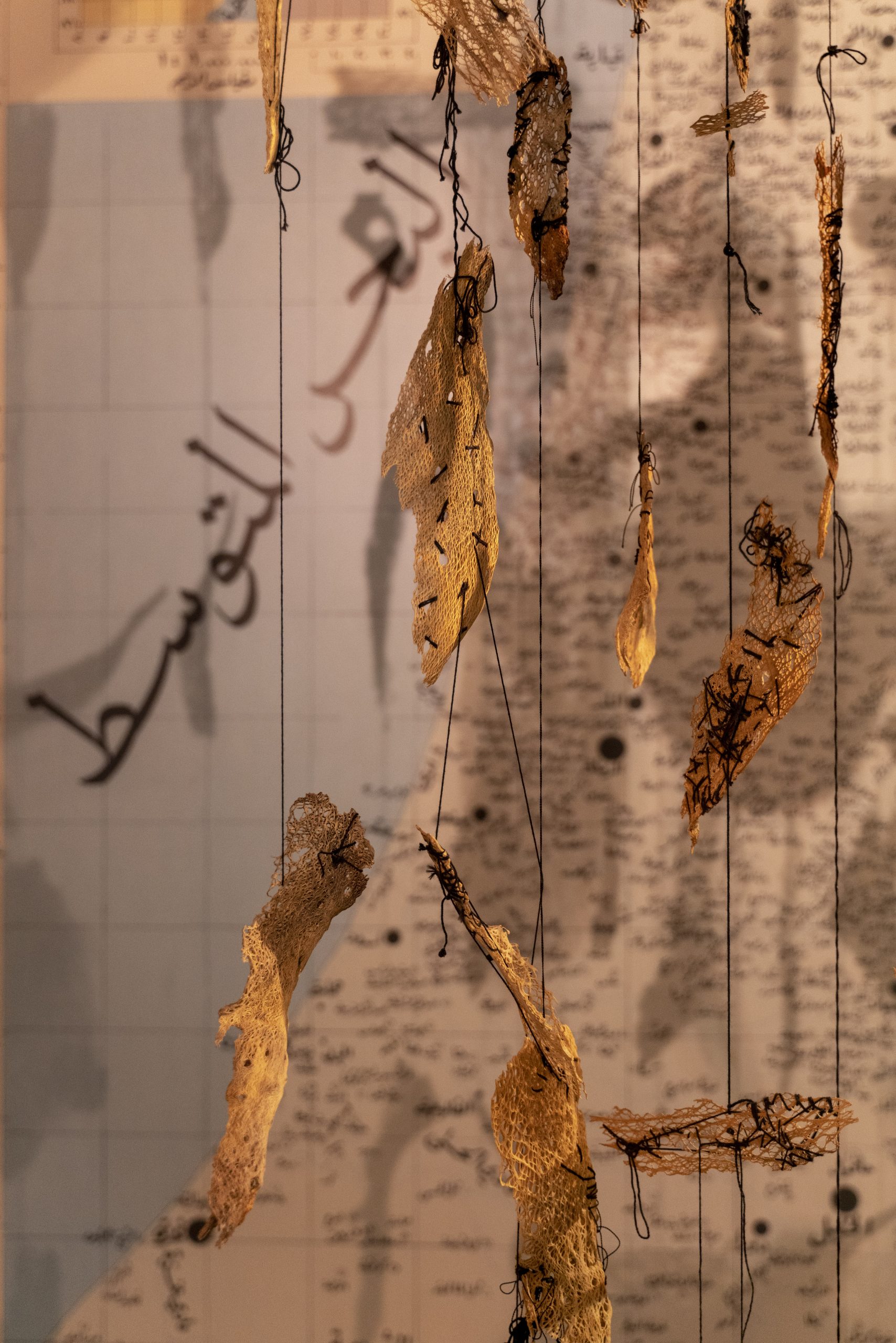 Roadmap to Elimination - Rana Bishara, 2006- On Going. Was exhibited last at the Palestinian Museum