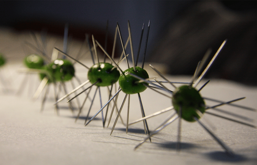 Olives and pins - Rana Bishara, 2011