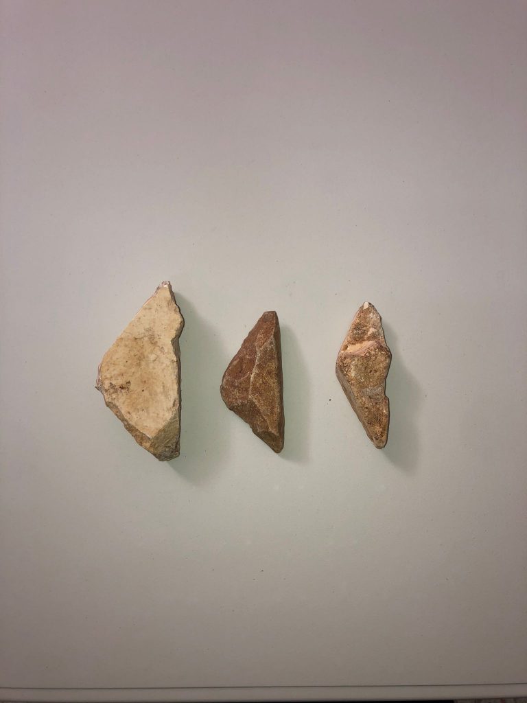 Nature Palestinienne