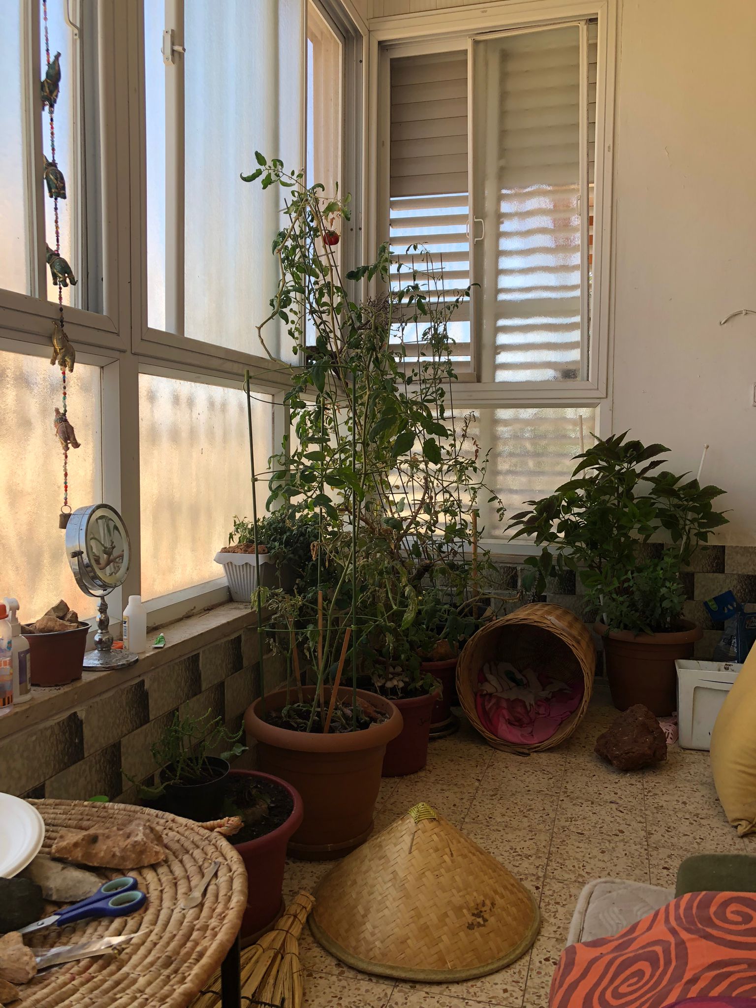 Atelier de Rana Bishara