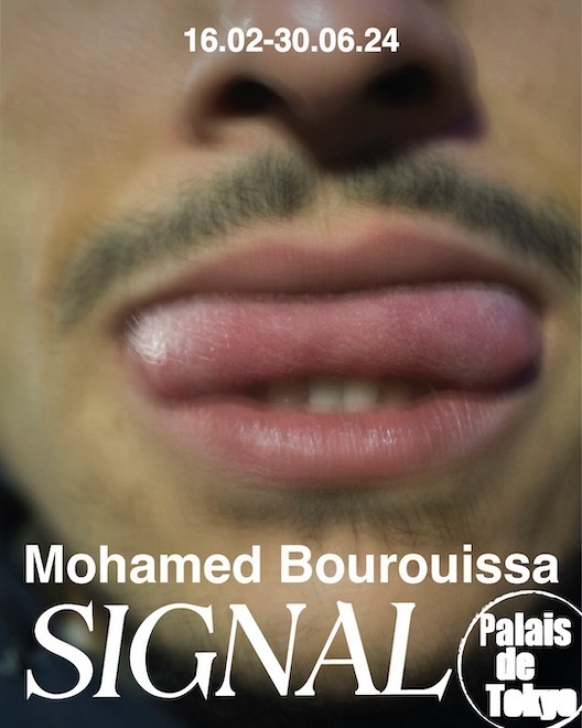 Mohamed Bourouissa, Signal, Palais de Tokyo - récit de visite
